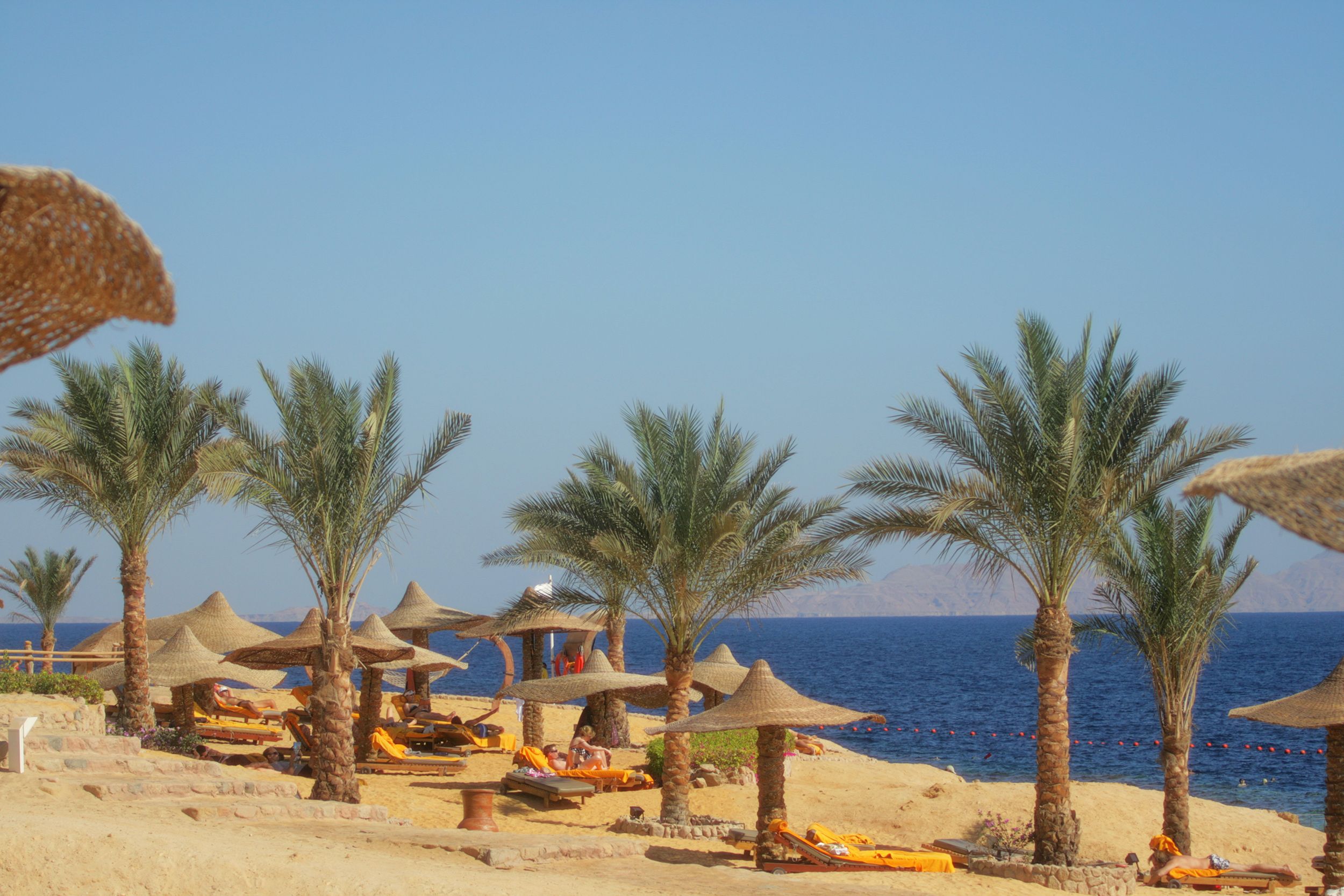 Ivy Cyrene Sharm Hotel