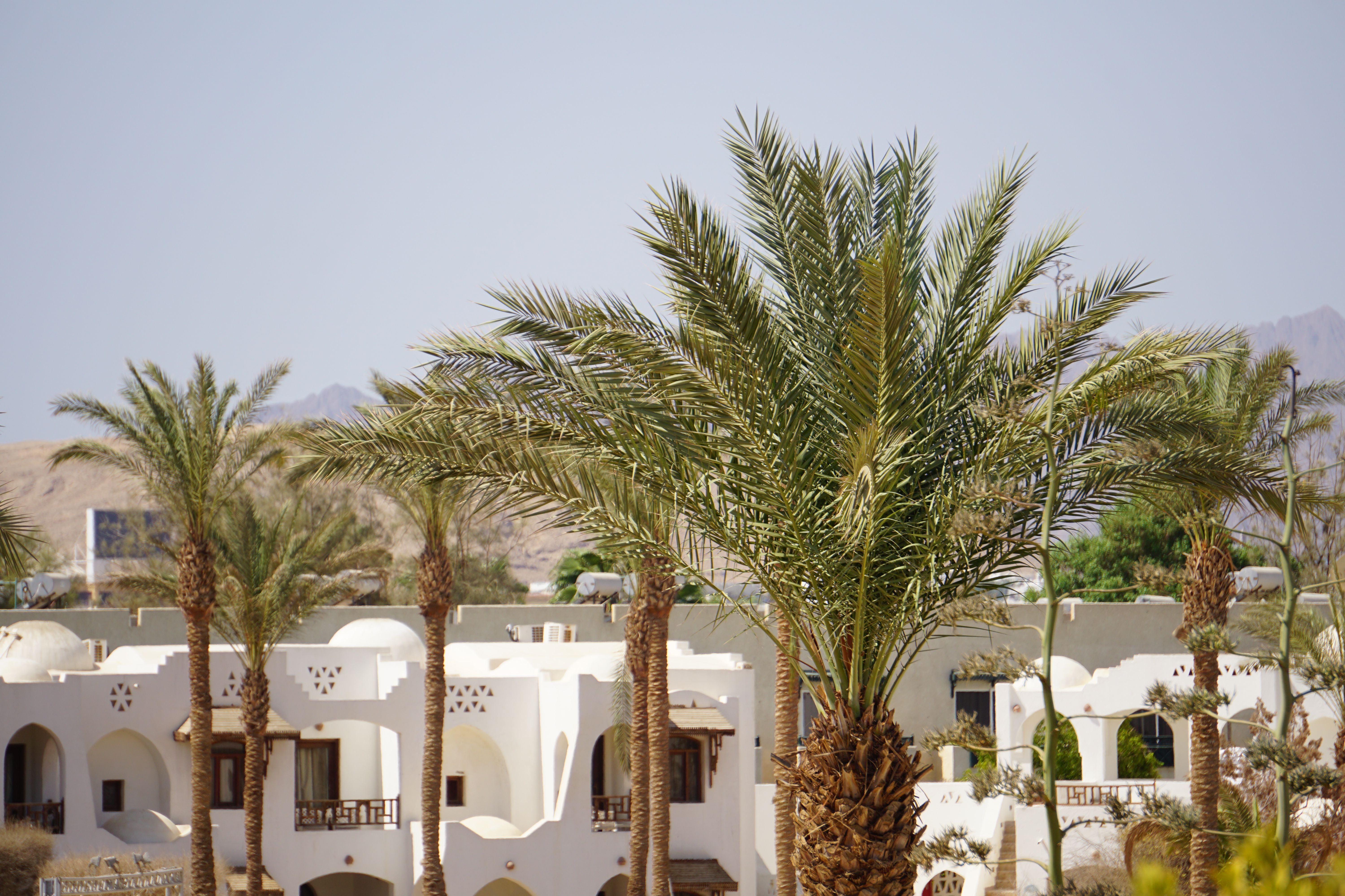 Sharm Holiday Resort And Aqua Park
