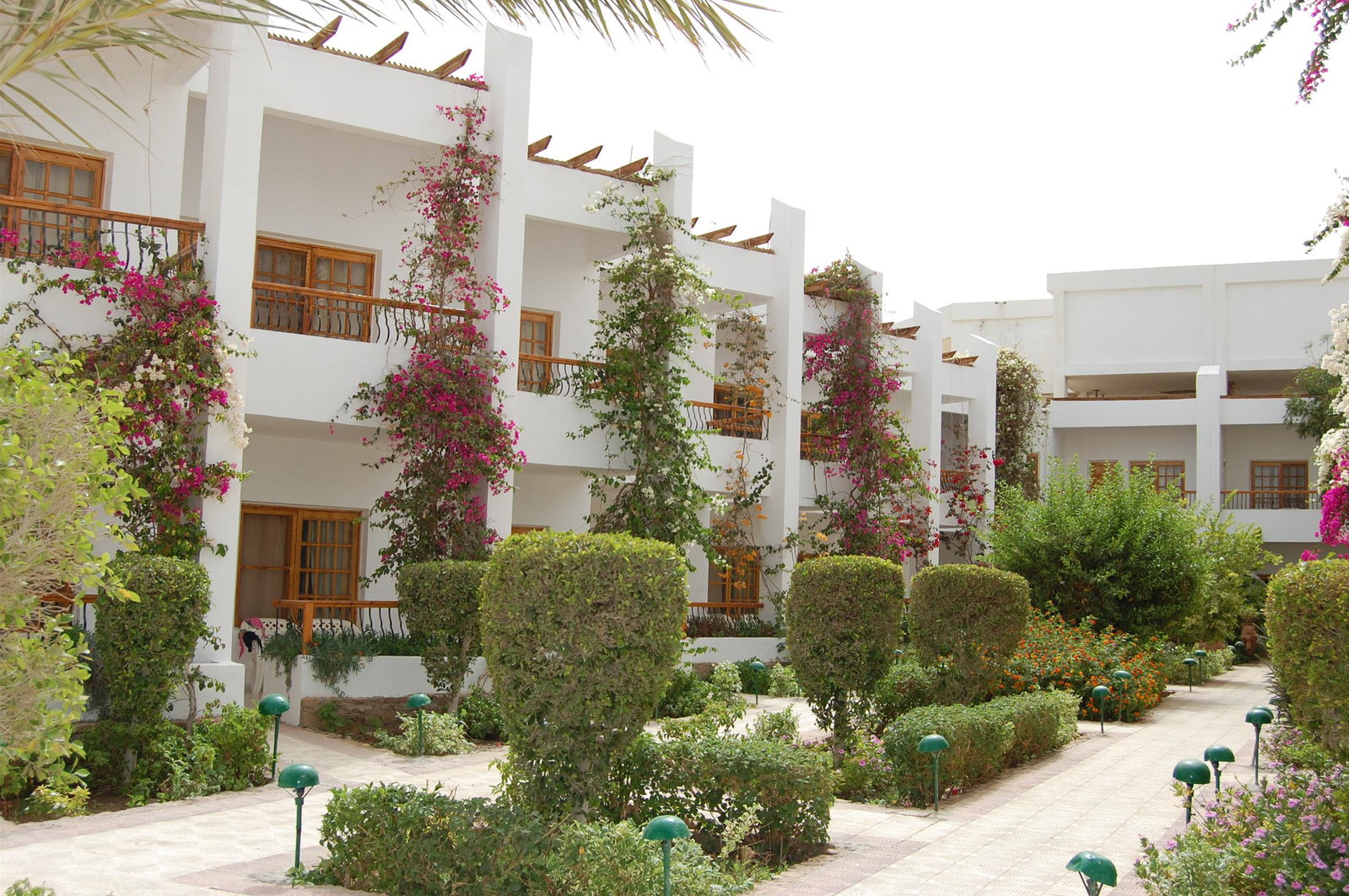 Menaville Safaga