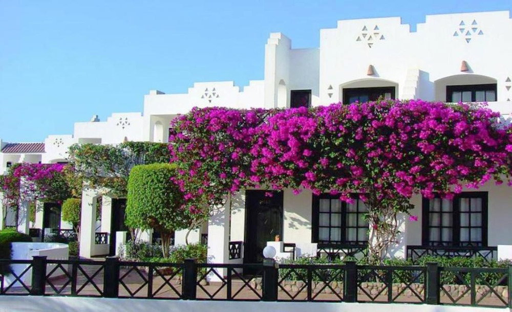 Verginia Sharm